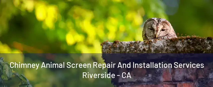 Chimney Animal Screen Repair And Installation Services Riverside - CA